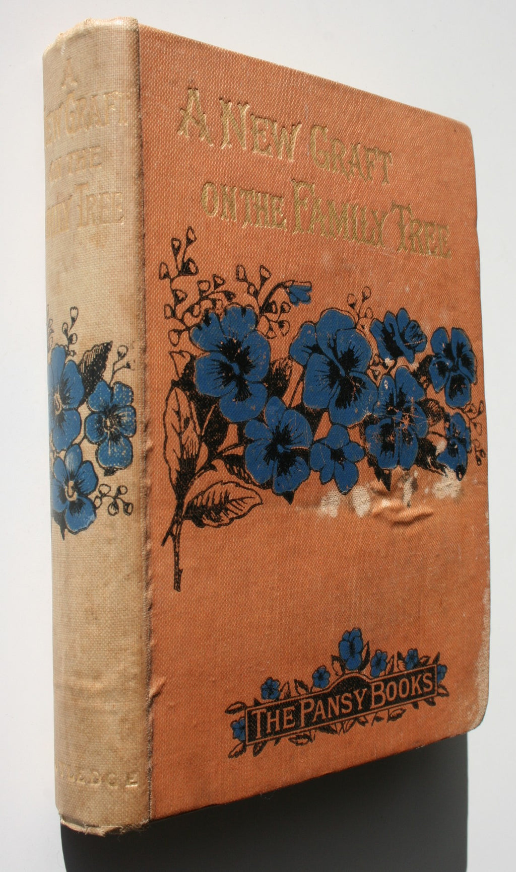 A New Graft on the Family Tree (circa 1888). By Pansy