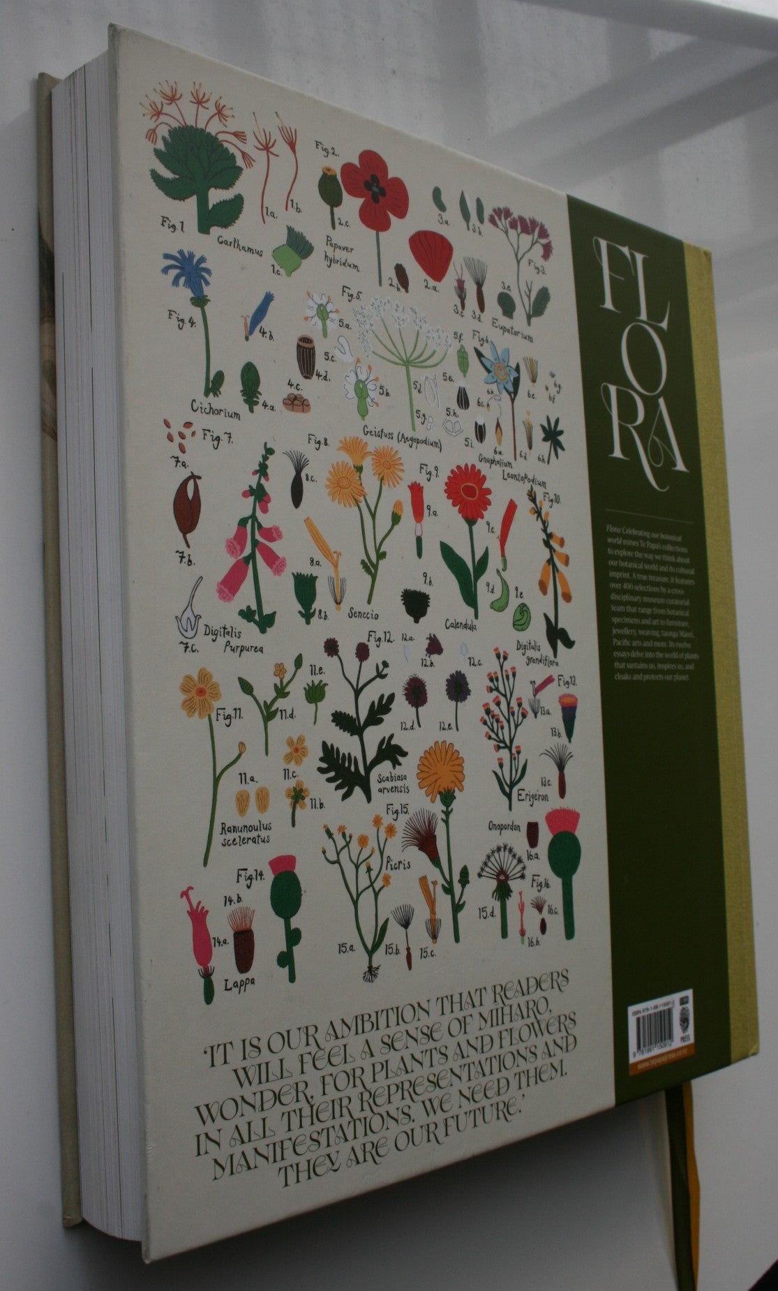 Flora: Celebrating Our Botanical World.