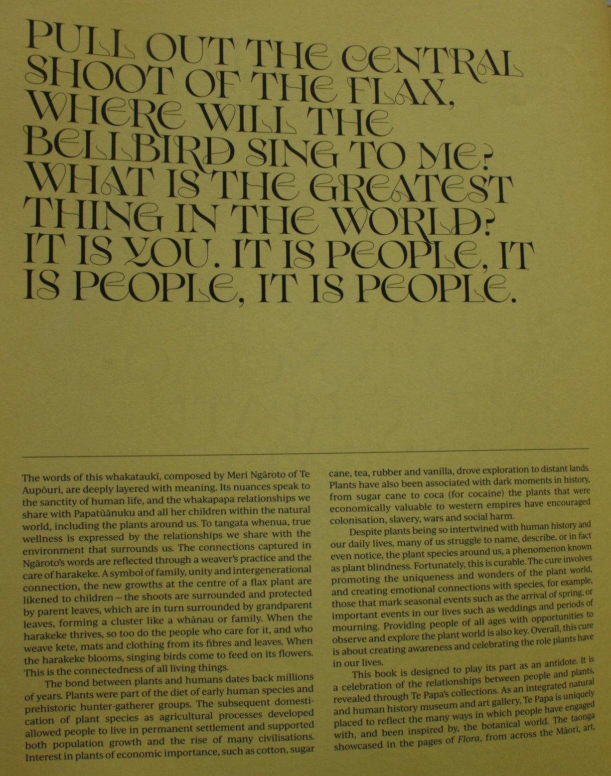 Flora: Celebrating Our Botanical World.