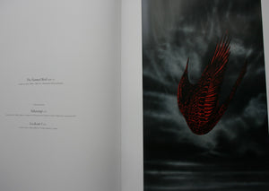 Shane Cotton: The Hanging Sky. Publisher: Christchurch Art in association with Institute of Modern Art , 2013, First Edition.