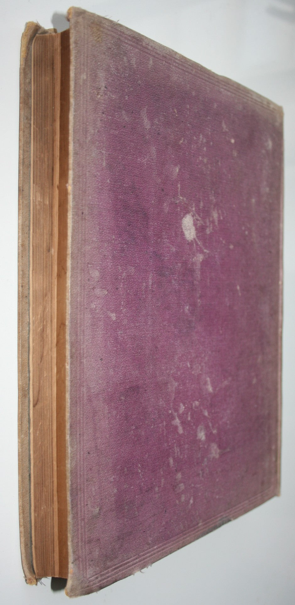 The Statutes of New Zealand: Passed in the Fifty-Fifth Year of the Reign of Her Majesty Queen Victoria