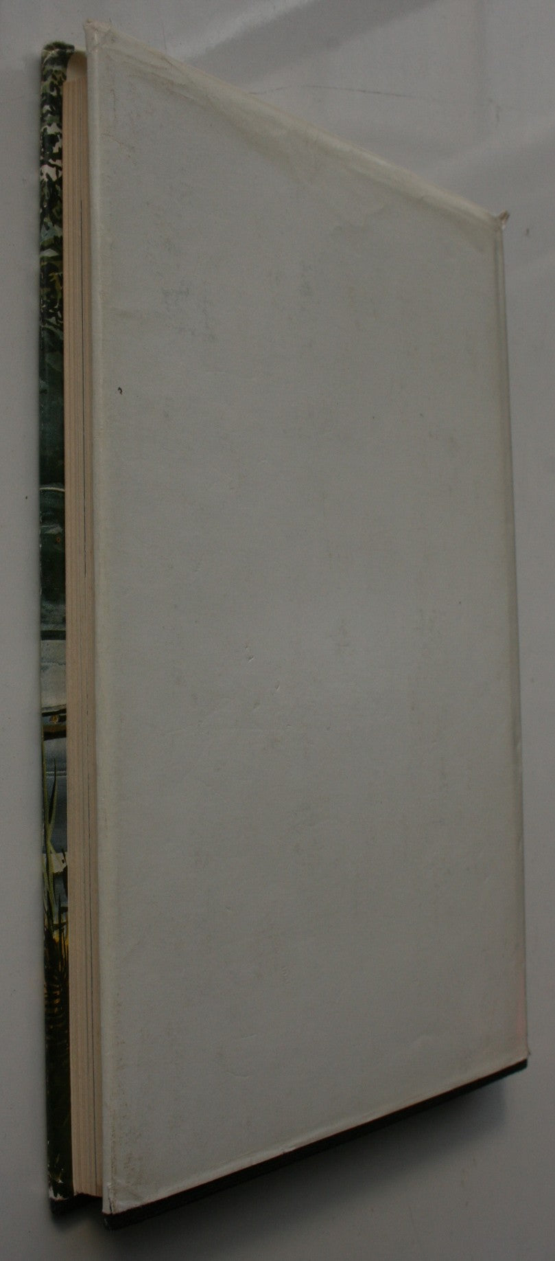 Te Anau Anchorage. LAWSON BURROWS. Hardback first edition