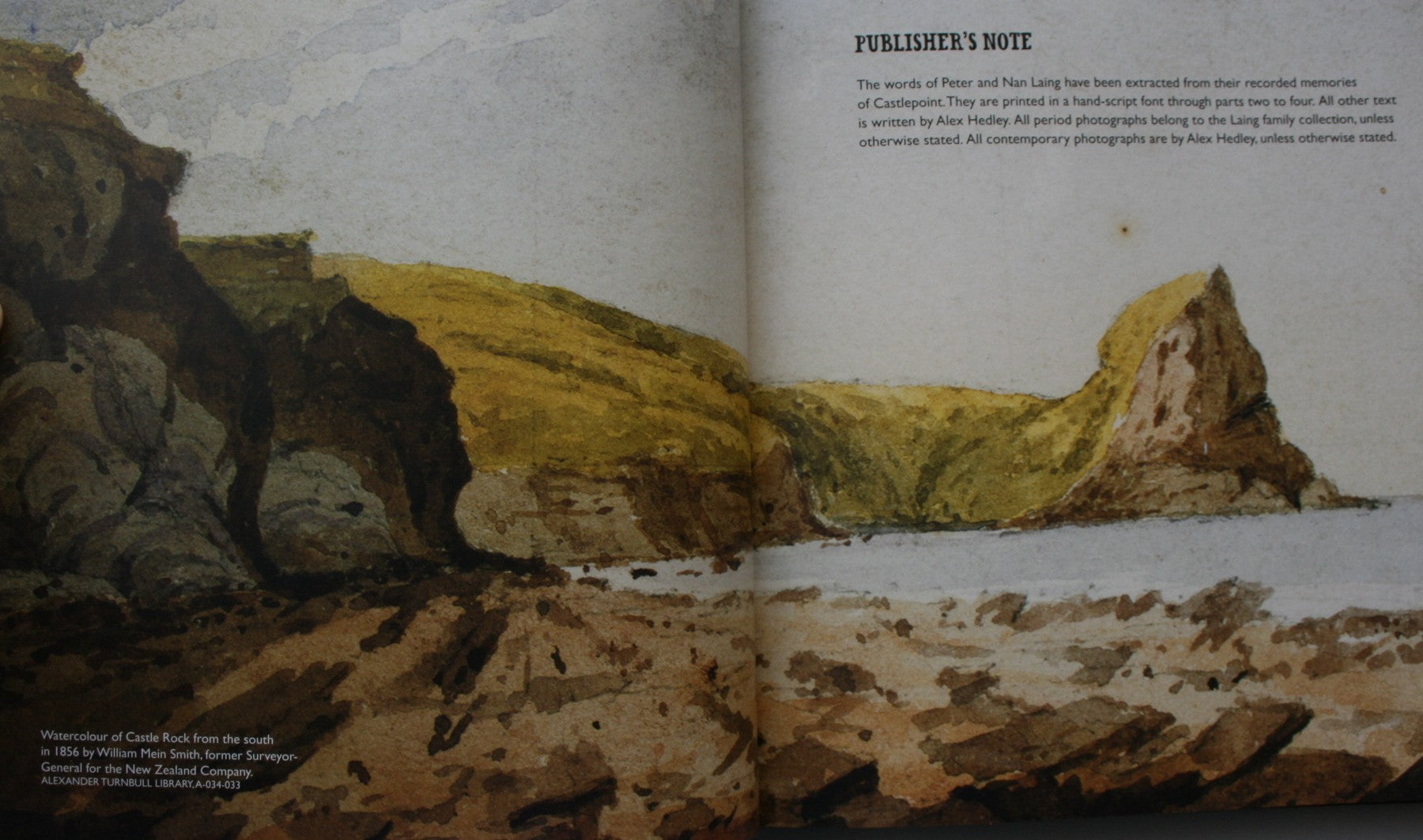 Castlepoint Coastal Station and Settlement. SIGNED