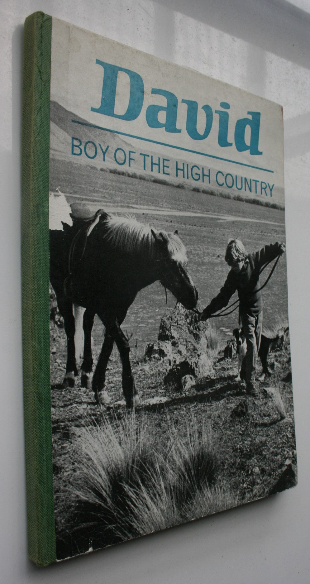 David Boy of the High Country. (1964 First Edition) By Gay