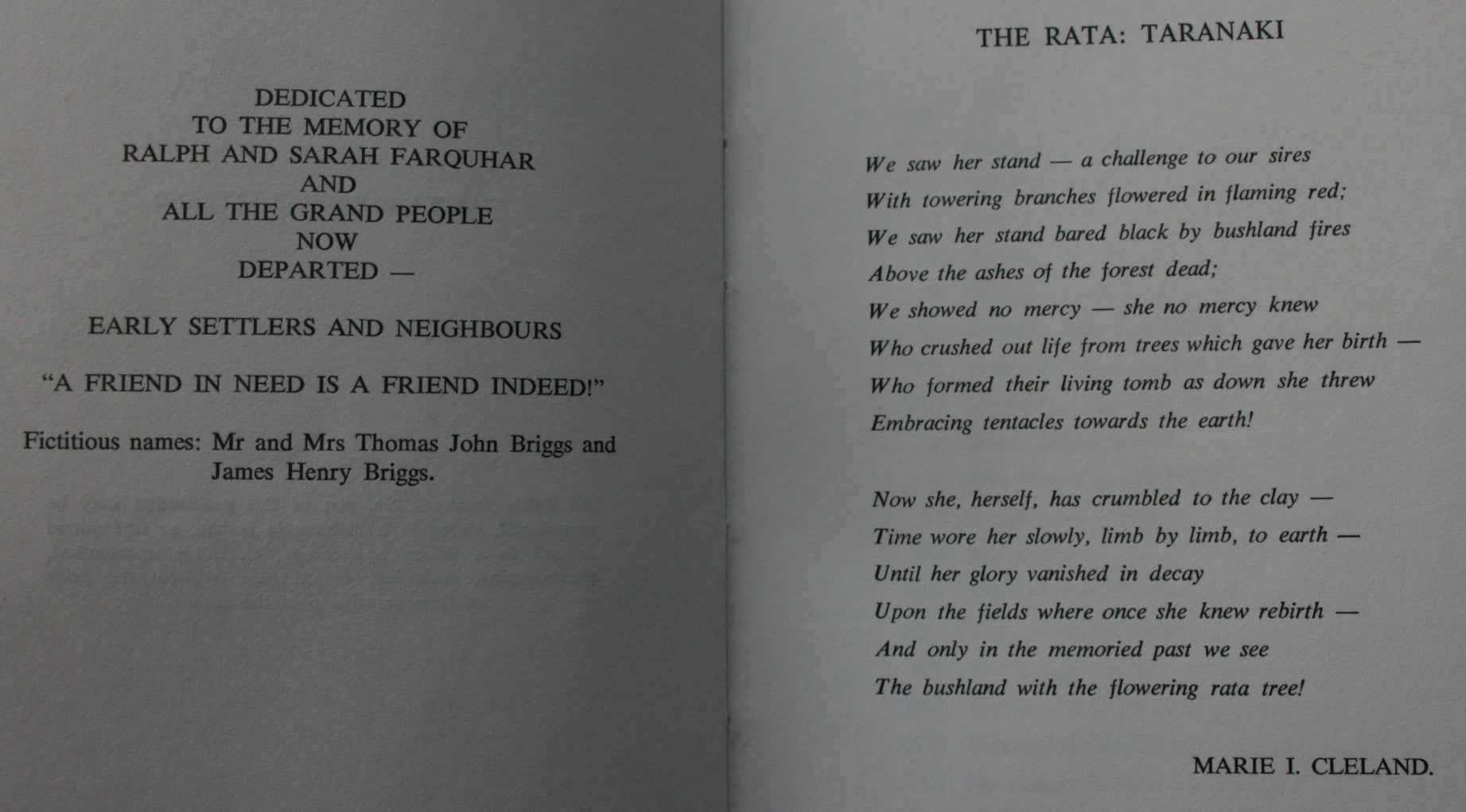 Blank Cheque To Life : A Taranaki Pioneering Story, Factual, Biographical and Historical
