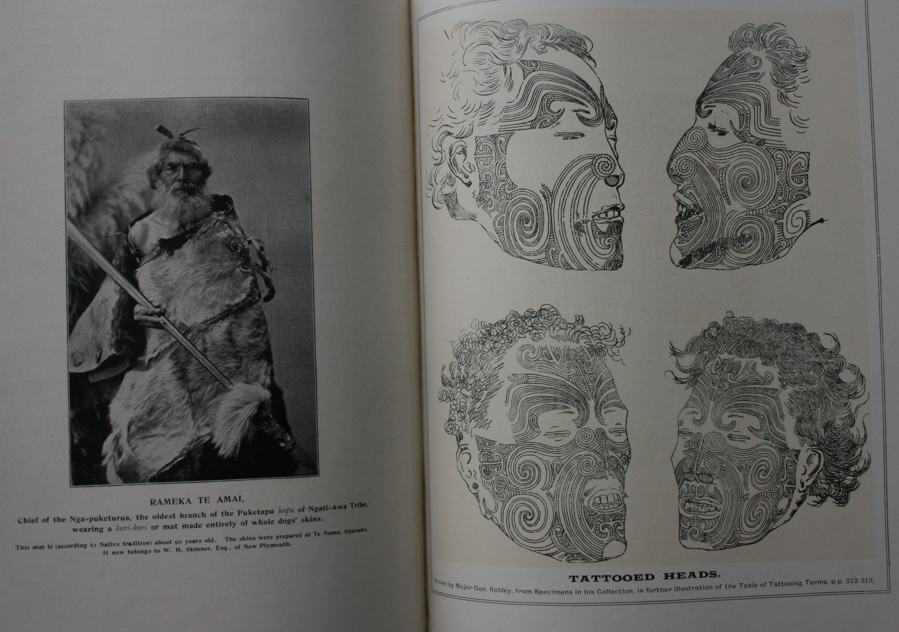 Maori Art. (1901 First Combined Edition parts1-5). By Augustus Hamilton