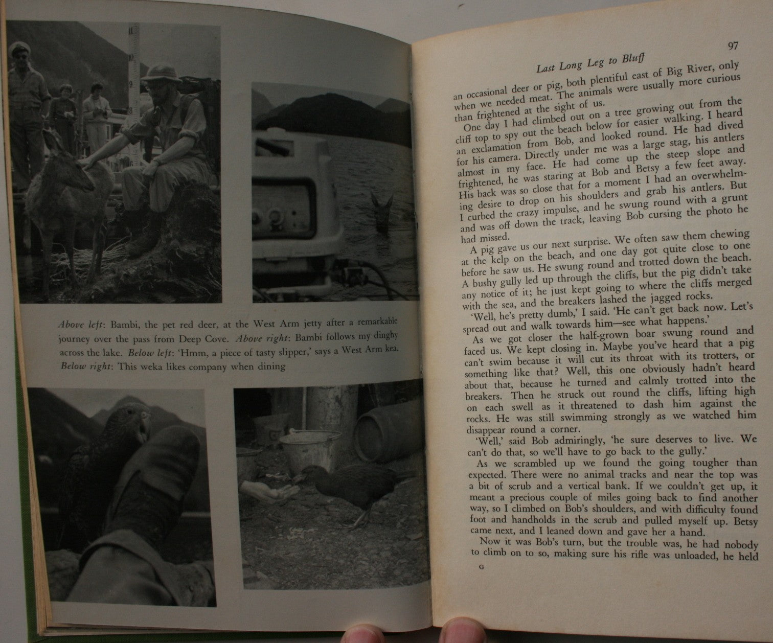 The Heart of Fiordland. FIRST EDITION 1966 By George A. Howard