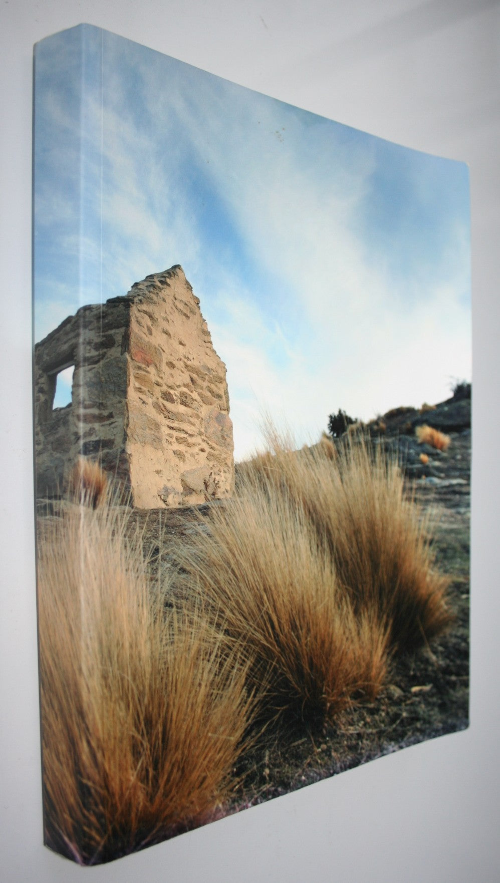Dust to Gold : The Inspiring Story of Bendigo Station. by John Perriam. SIGNED BY AUTHOR