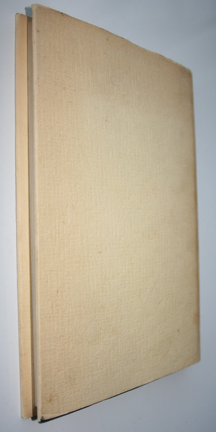 Good Luck and Lavender. (Pioneer settlers in Timaru.) by Marie Lawry