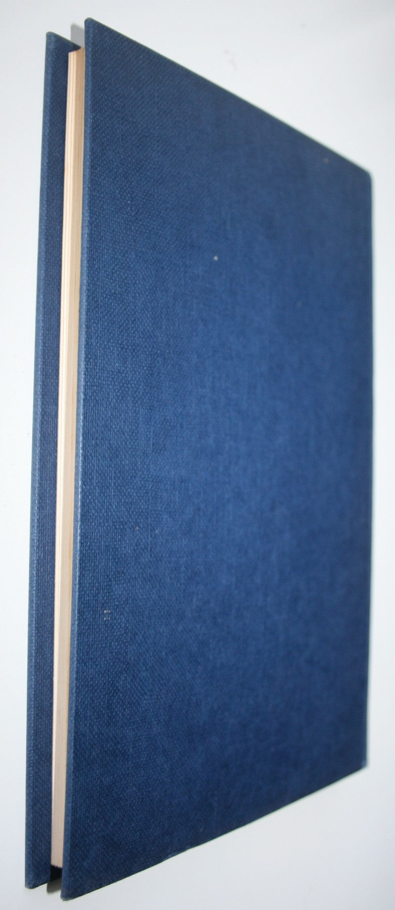 Good Luck and Lavender. (Pioneer settlers in Timaru.) by Marie Lawry