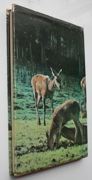 The Red Stags of the Rakaia by D. Bruce Banwell. 1970, FIRST EDITION.