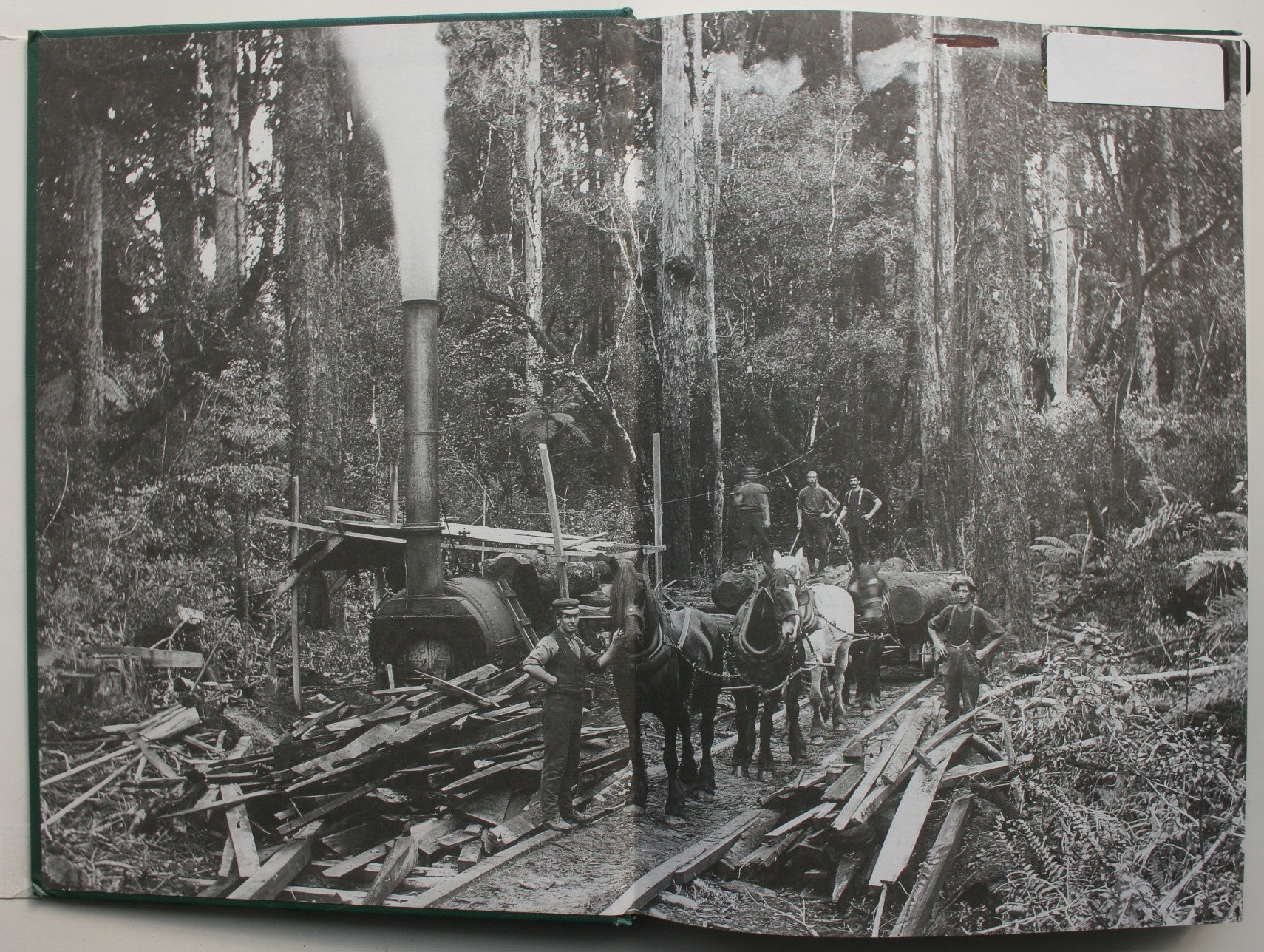 The Era of the Bush Tram in New Zealand. By Paul Mahoney. First Edition 1998