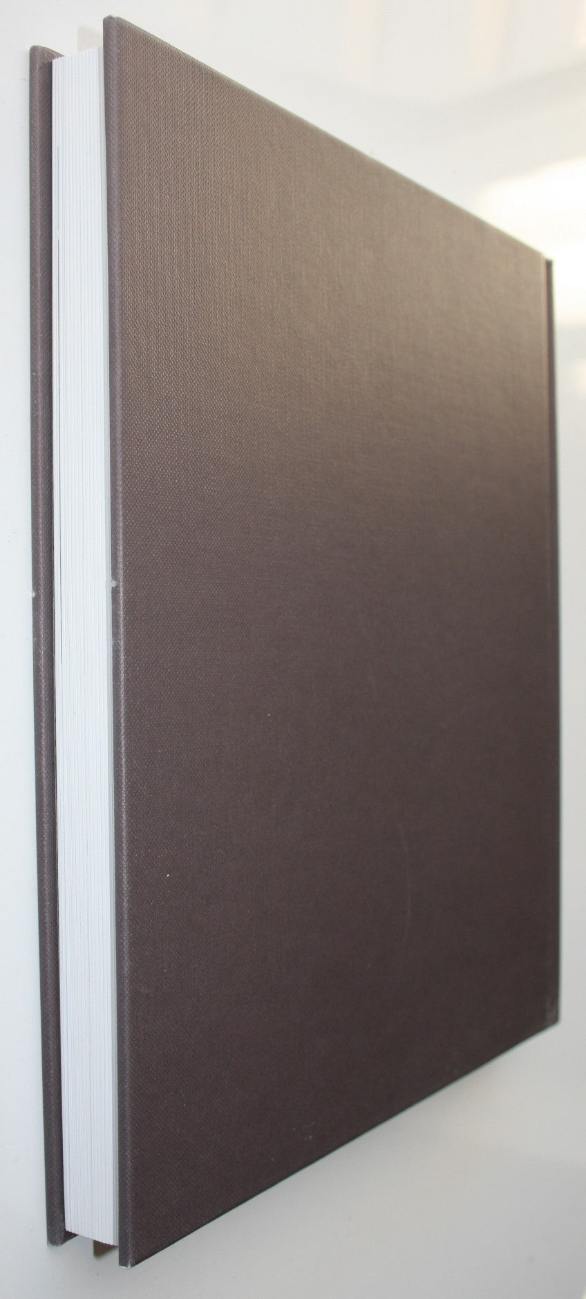 Riccarton and the Deans ­Family History and Heritage By Joanna Orwin.