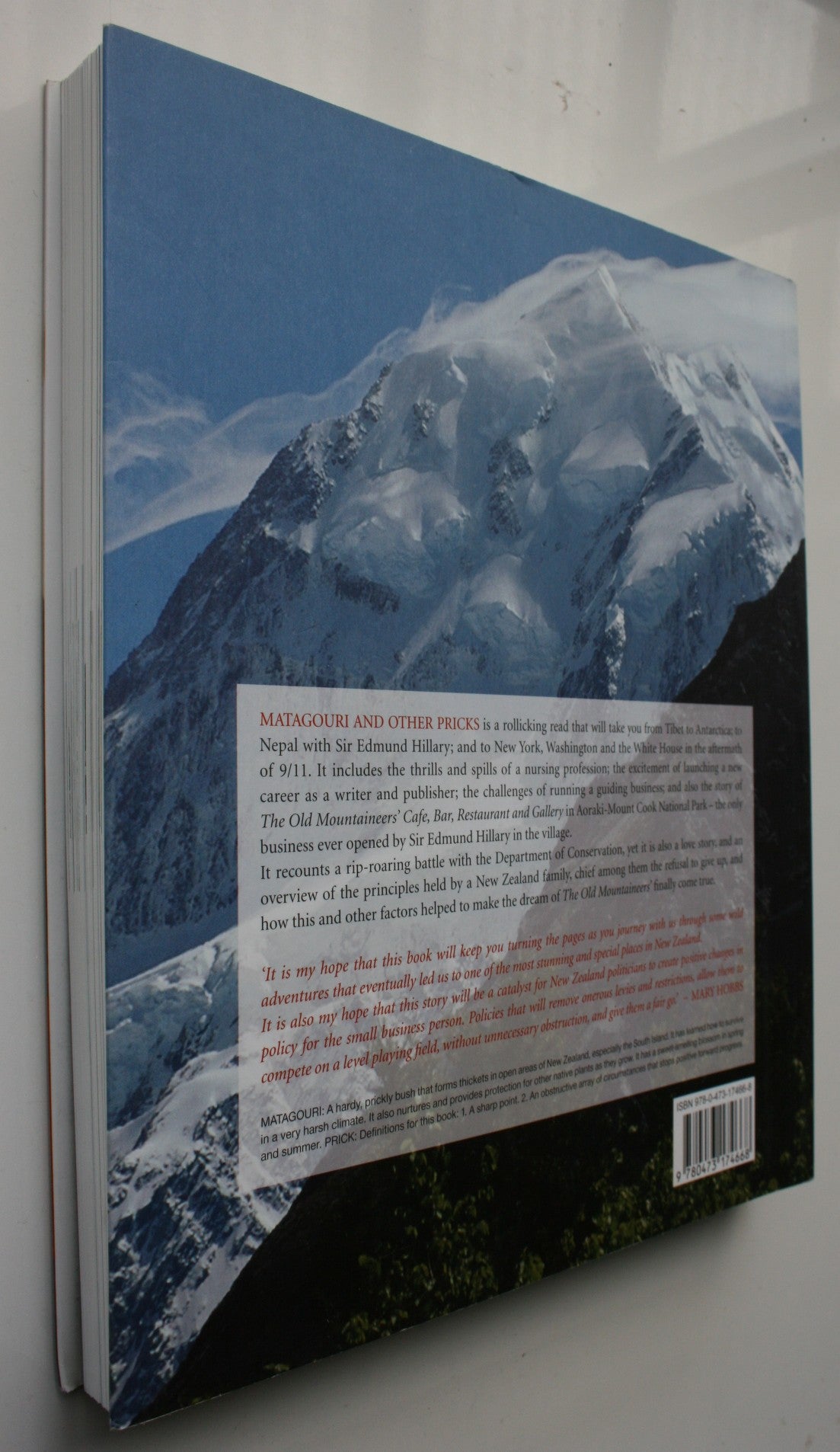 Matagouri And Other Pricks, The Journey to Aoraki-Mount Cook by Mary Hobbs.