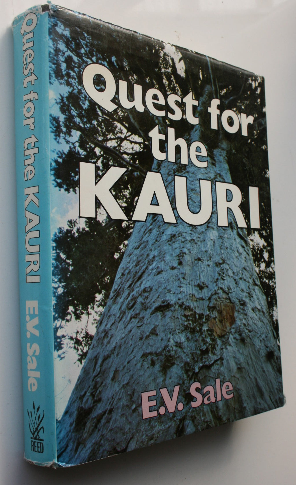 Quest for the Kauri. Forest Giants and Where to Find Them. By E.V. Sale
