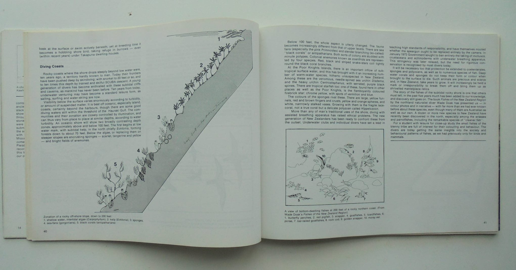 Seacoast in the Seventies. The Future of the New Zealand Shoreline by John Morton, David Thom, Ron Locker.