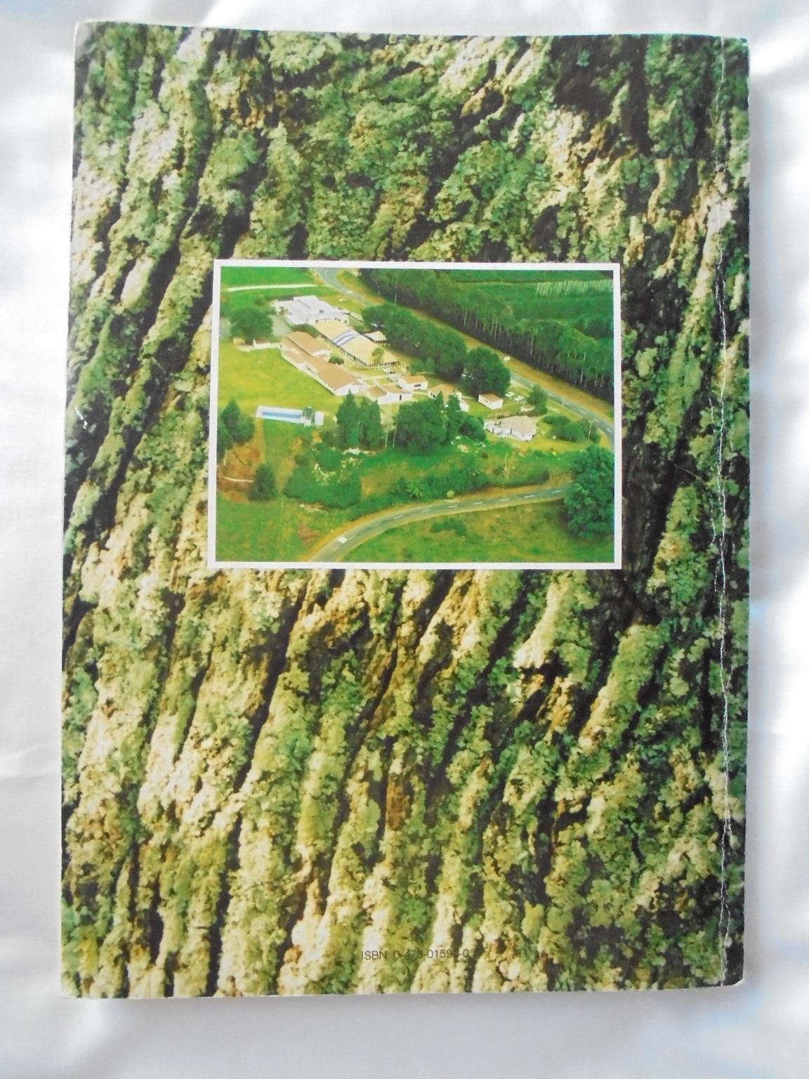 100 and Counting-: Pongakawa School Book by Cedric Blaymires. SCARCE.SIGNED BY AUTHOR.