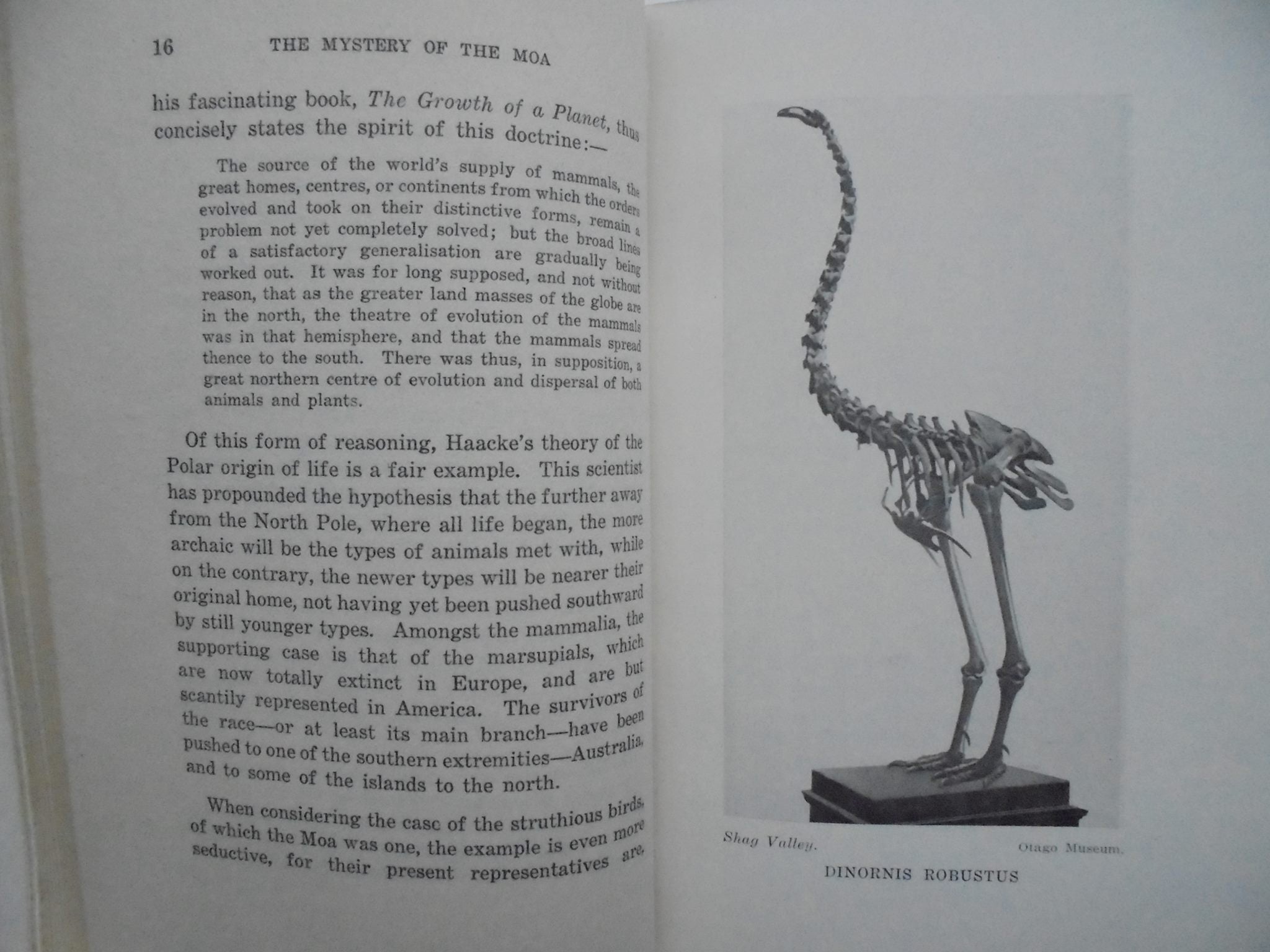 The Mystery of the Moa - by T. Lindsay Buick. [First Edition]