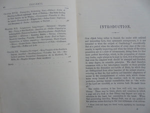 A Familiar History of Birds. 1892. By E. Stanley