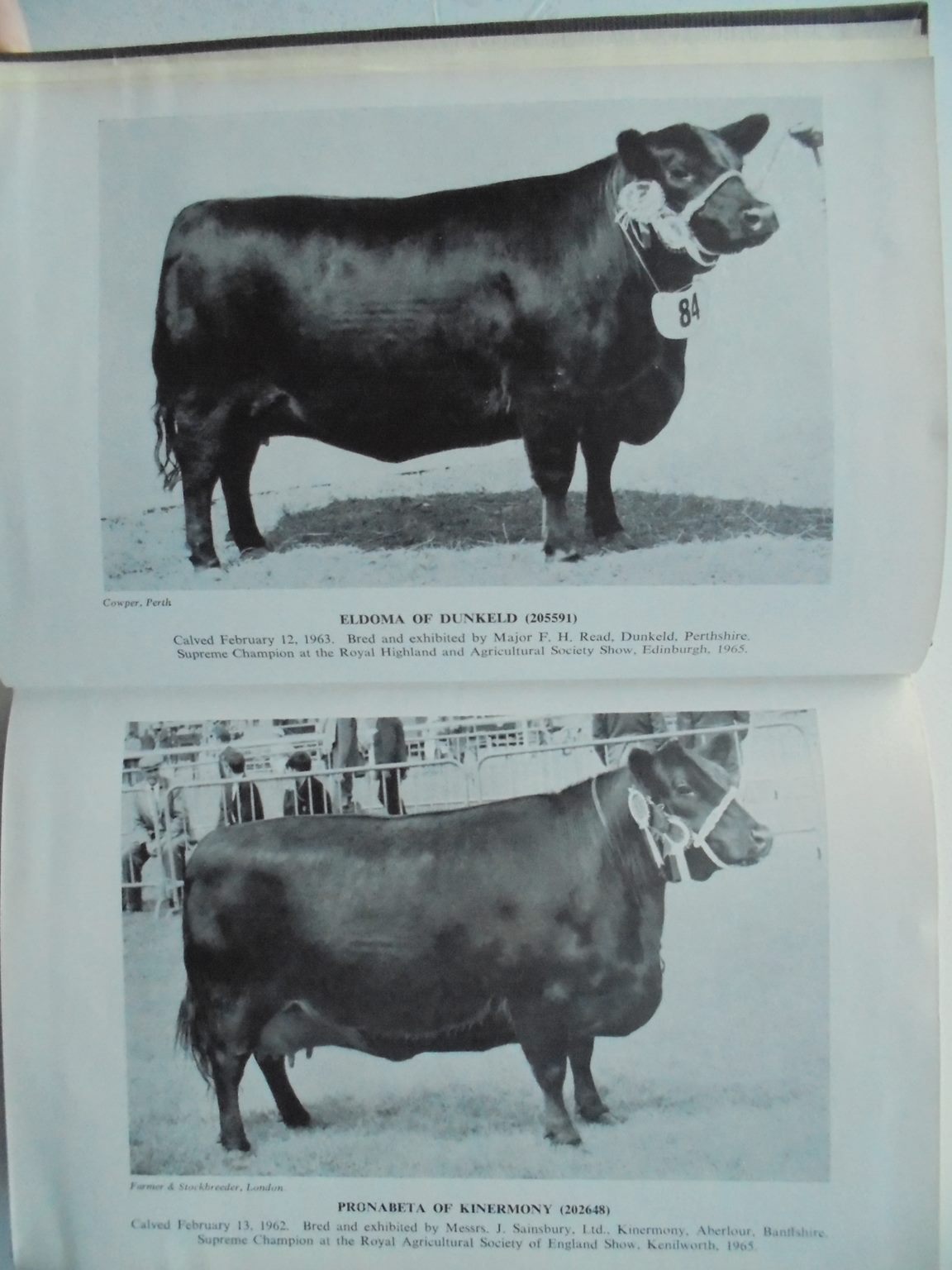 The Aberdeen-Angus Herd Book. Containing the Pedigrees of Aberdeen-Augus cattle