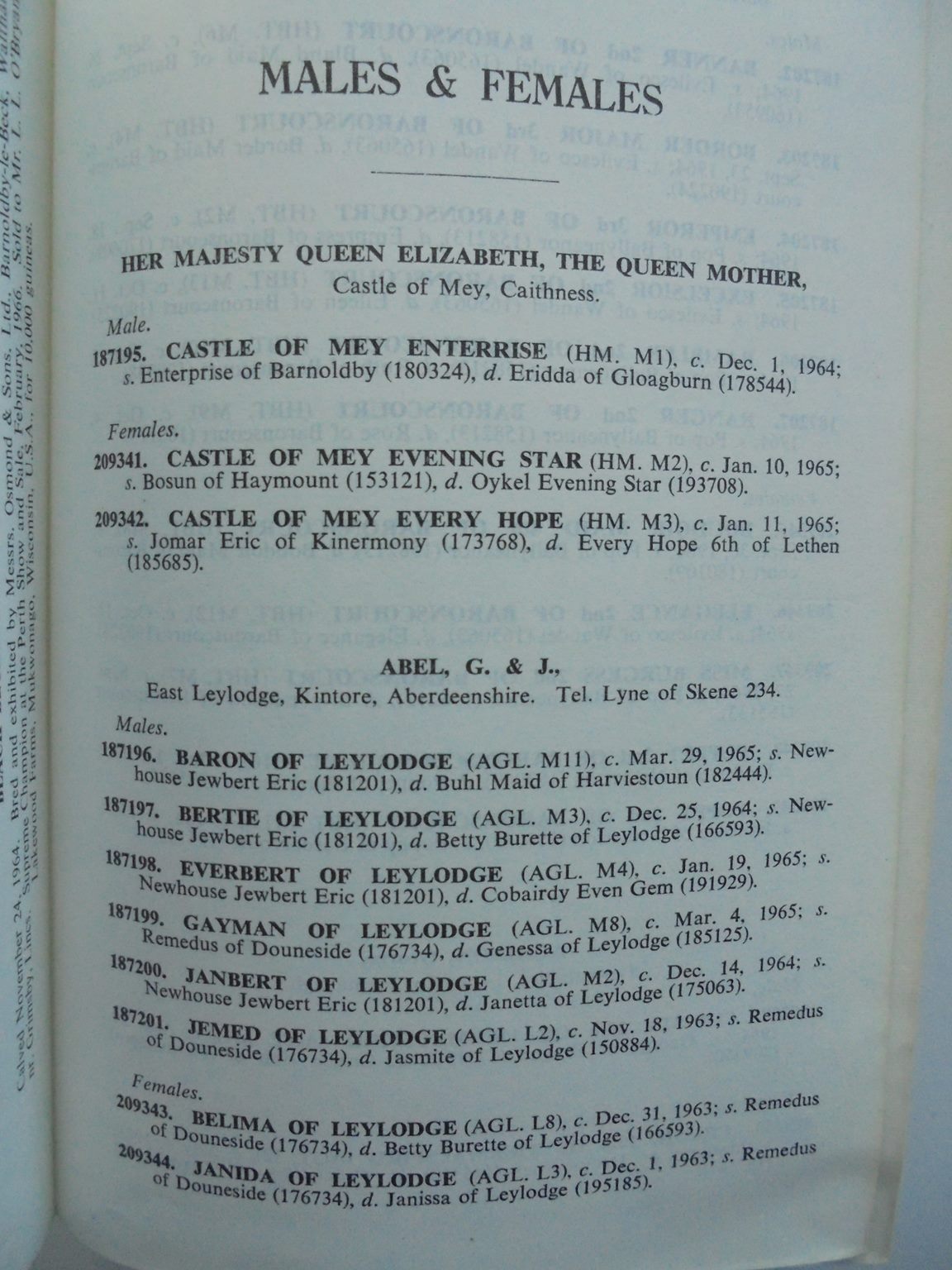 The Aberdeen-Angus Herd Book. Containing the Pedigrees of Aberdeen-Augus cattle