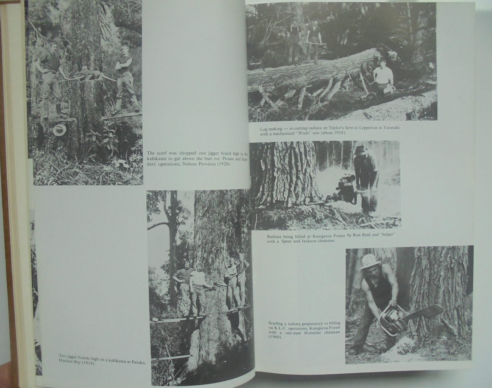 Kauri to Radiata: Origin and Expansion of the Timber Industry of New Zealand by Thomas E. Simpson.