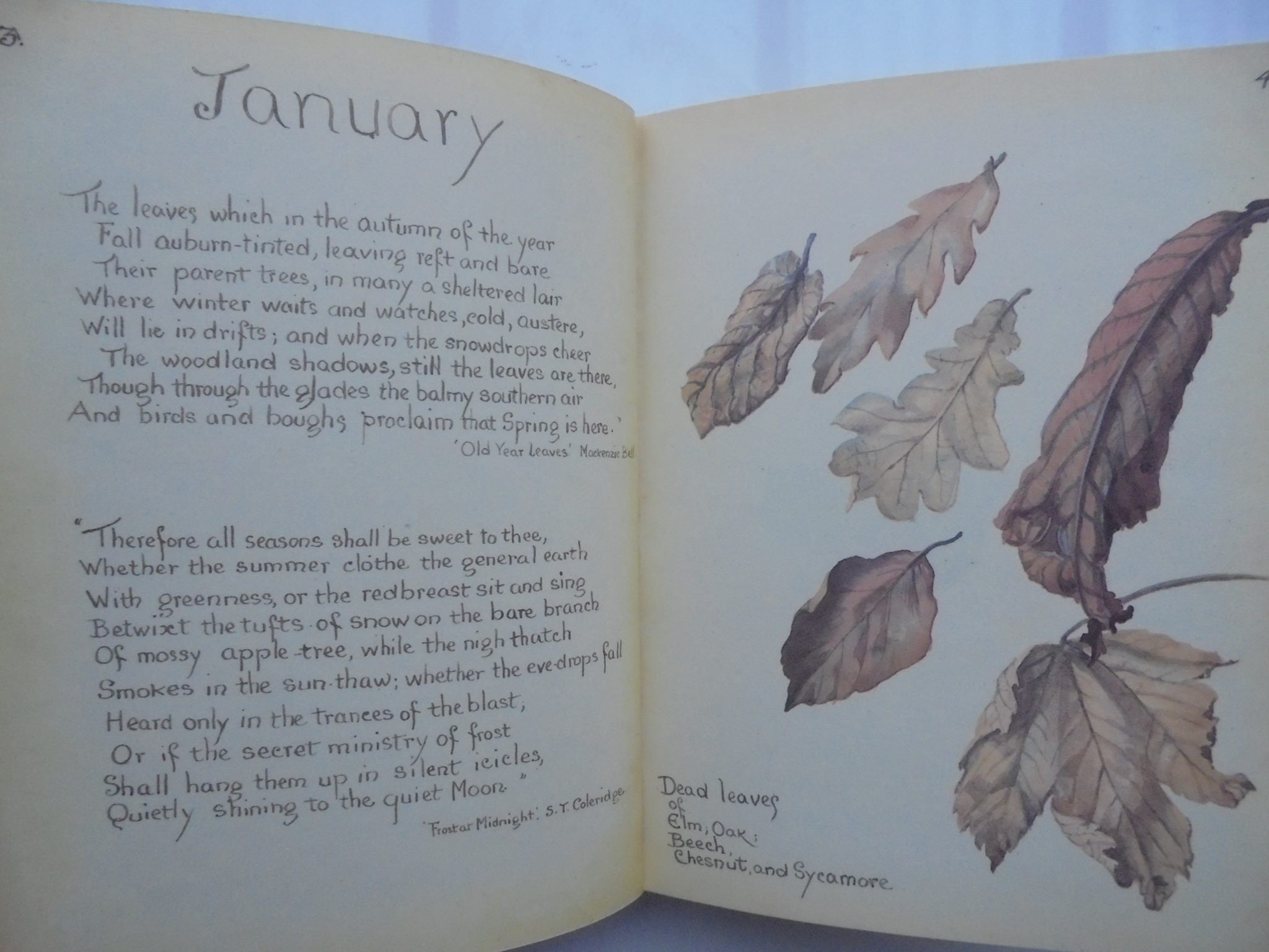 The Country Diary of an Edwardian Lady. By Edith Holden