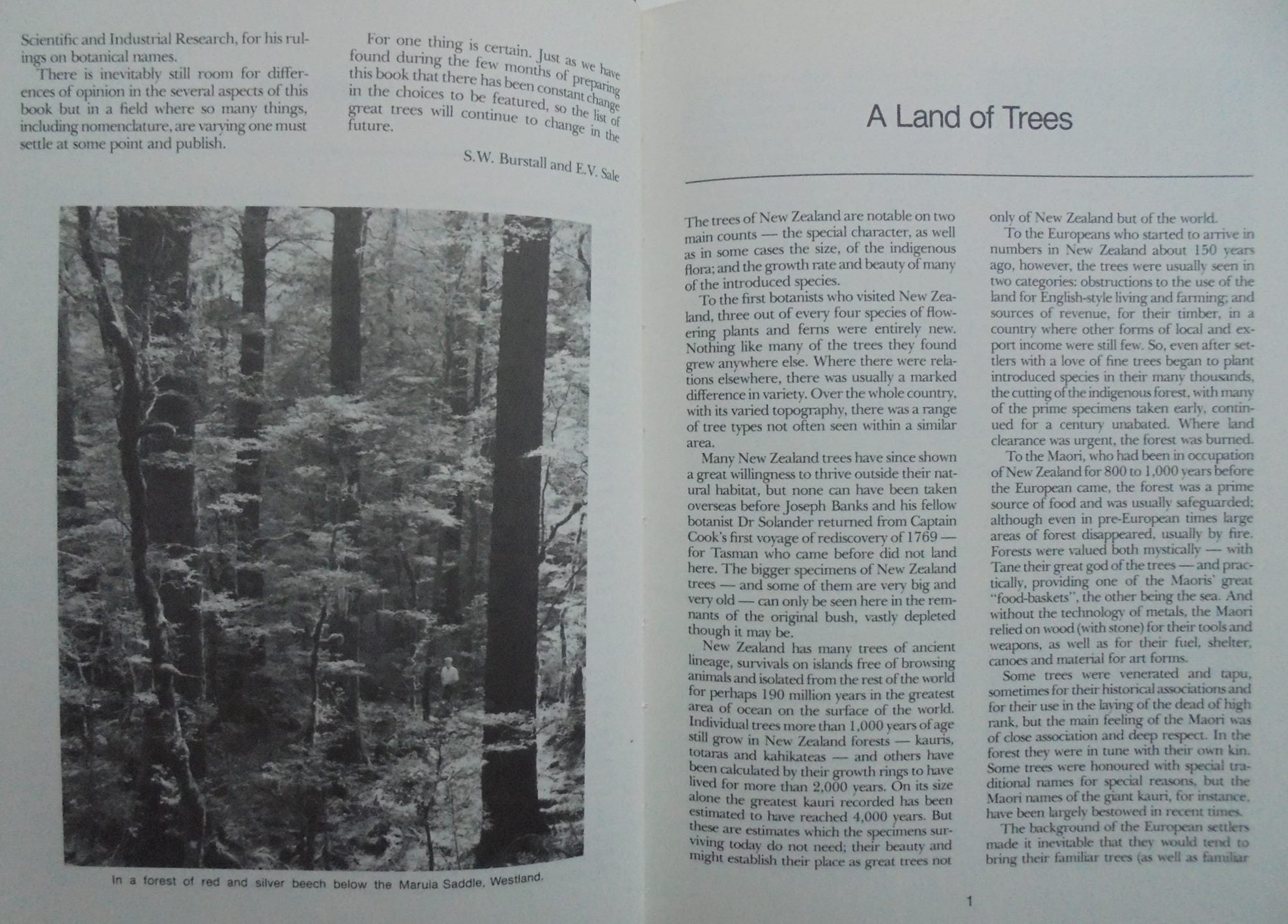 Great Trees of New Zealand BY S.W. Burstall & E.V. Sale.