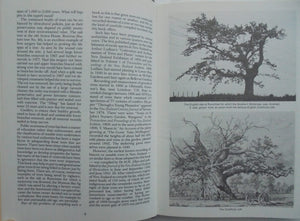 Great Trees of New Zealand BY S.W. Burstall & E.V. Sale.