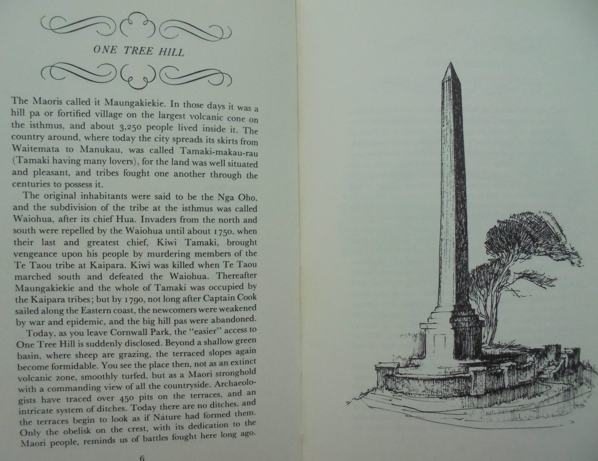 Auckland Sketchbook. By M. H. Holcroft