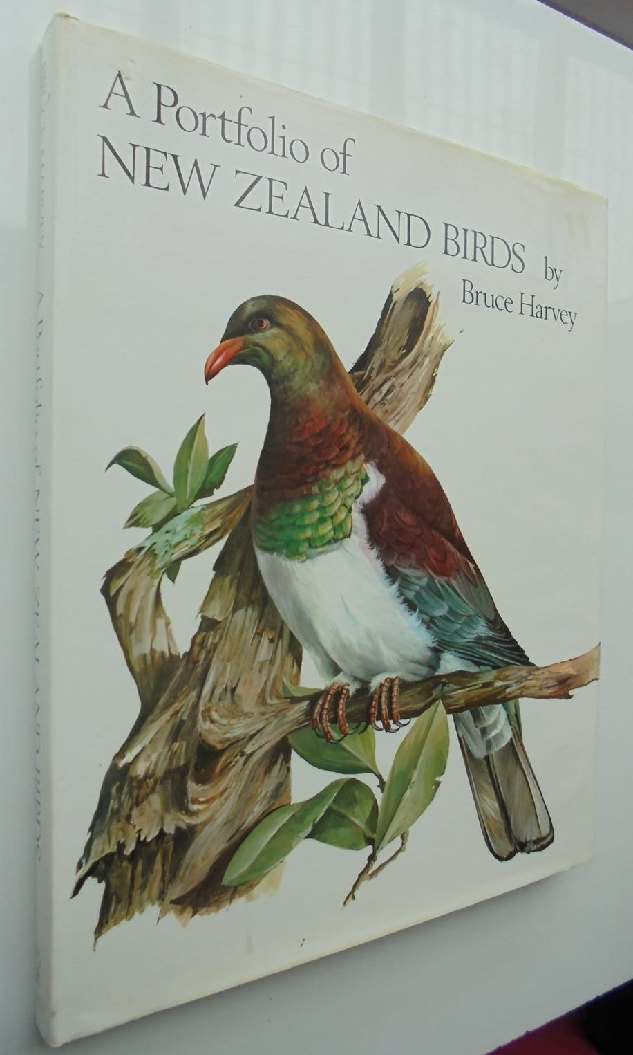 A Portfolio of New Zealand Birds By Bruce Harvey.