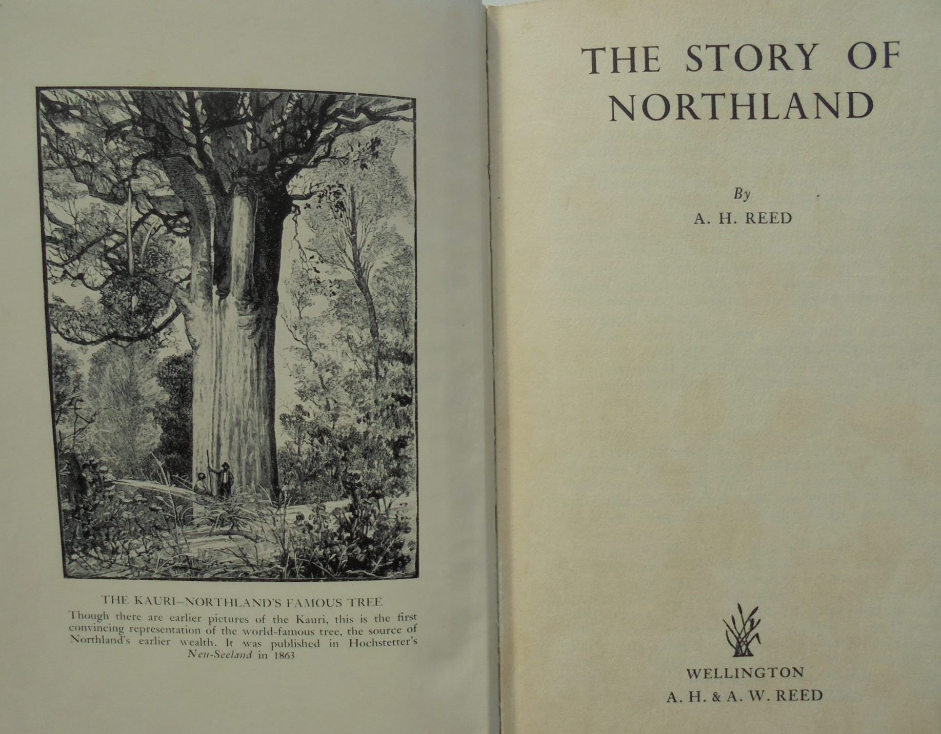 The Story of Northland. By A H Reed