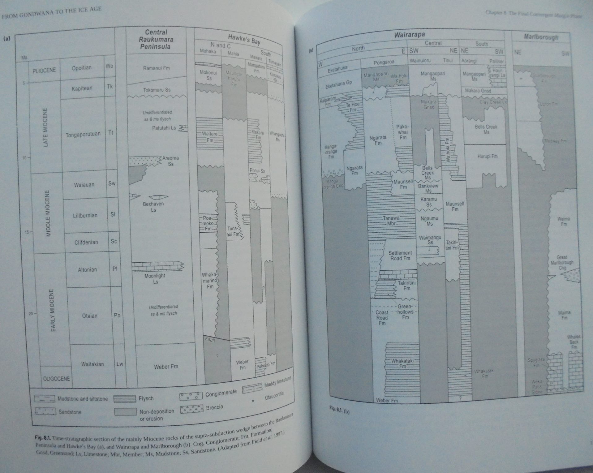 From Gondwana to the Ice Age The geology of New Zealand over the last 100 million years: 2020 By Malcolm Laird, John Bradshaw.