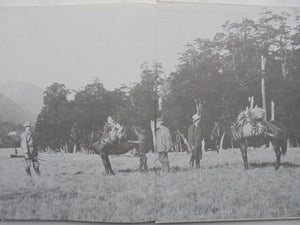 Great New Zealand Deer Heads (Vol II). SIGNED by D. Bruce Banwell.