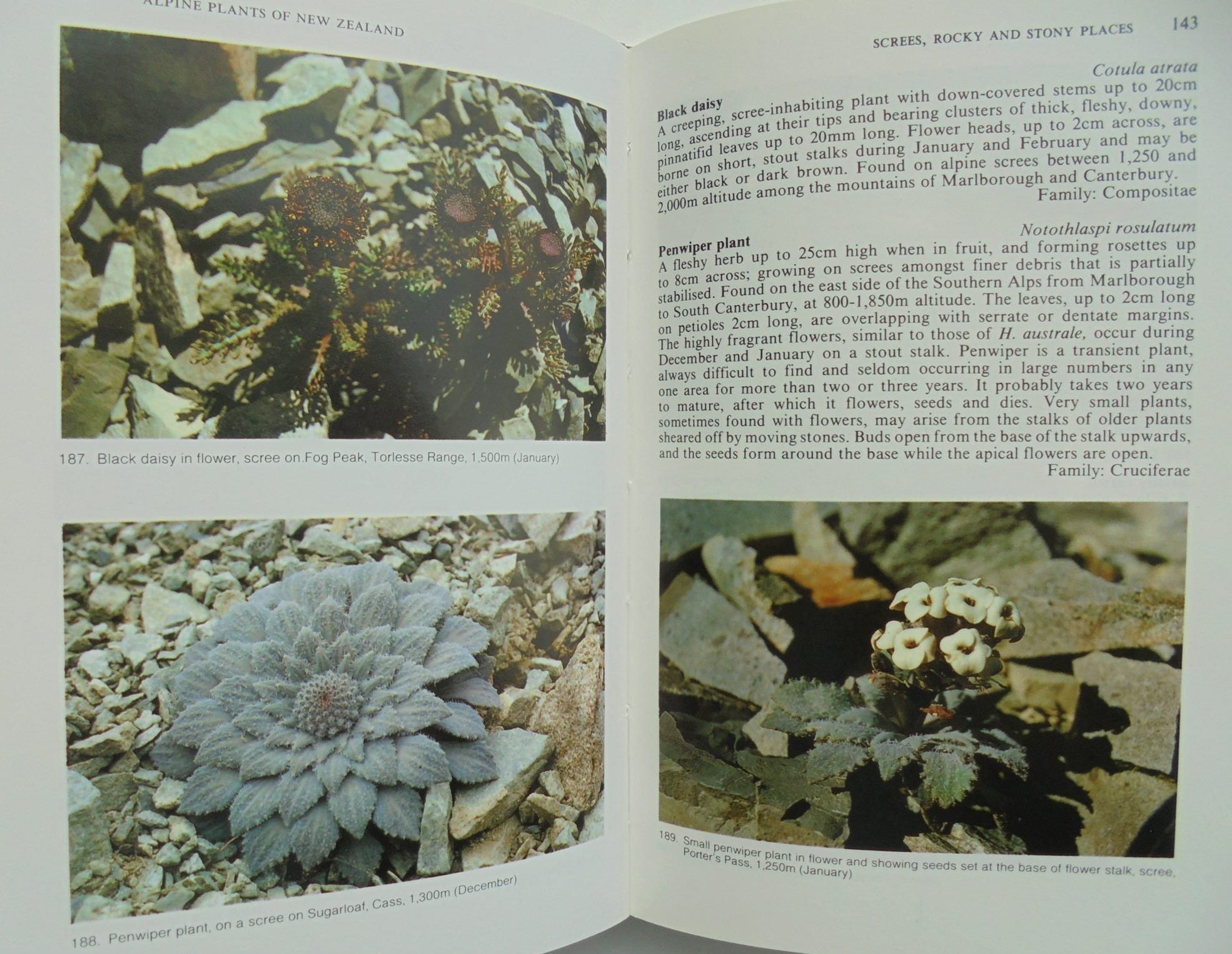 Collins Guide to the Alpine Plants of New Zealand. By John Salmon