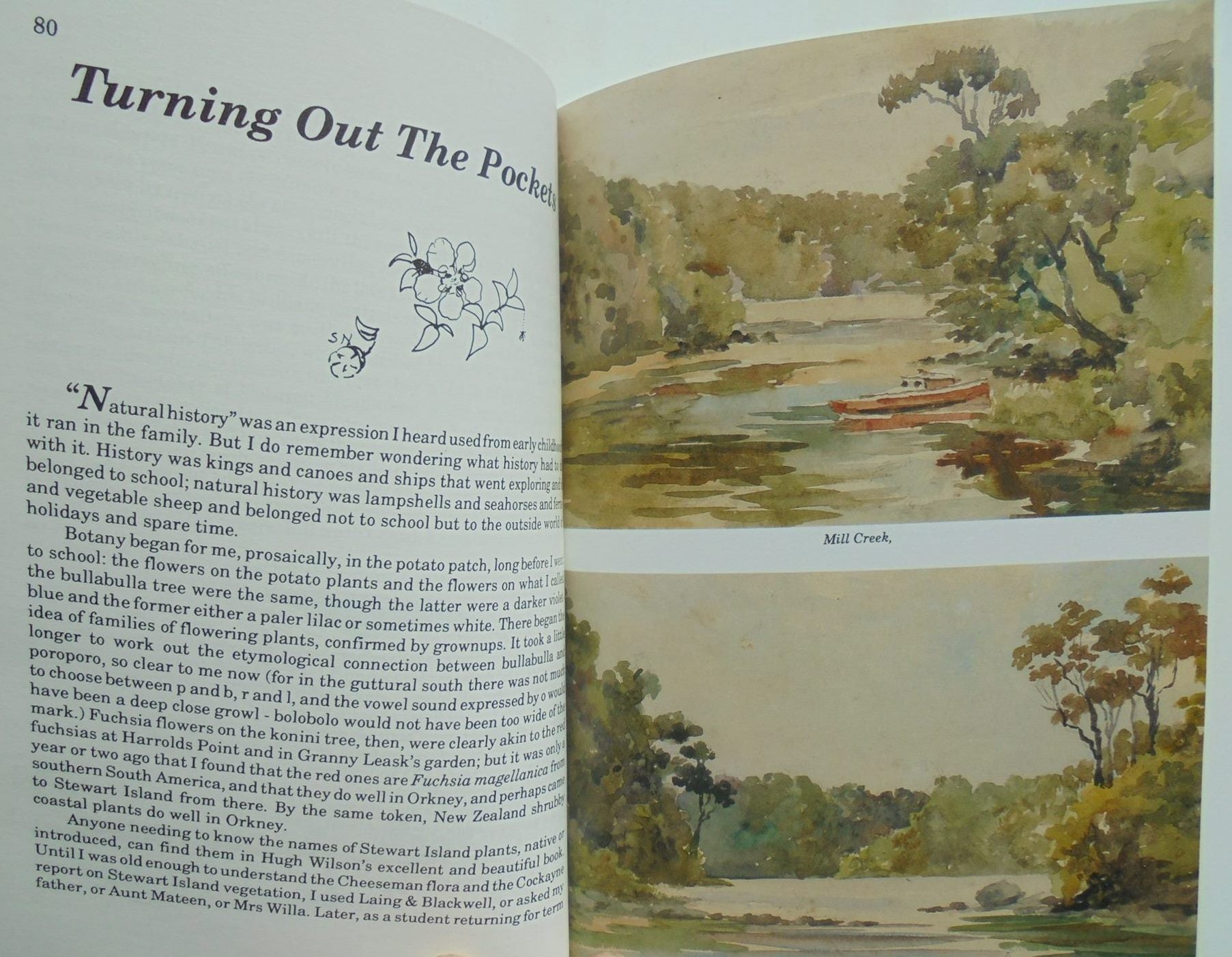 An Island Called Home. Rakiura (Stewart Island) By Sheila Natusch, with paintings by D.E Traill. VERY SCARCE.