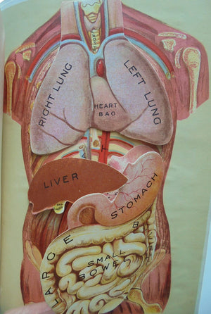 Illustrated Medical Guide New Zealand Edition : Volumes I & II By Philip E. Muskett.