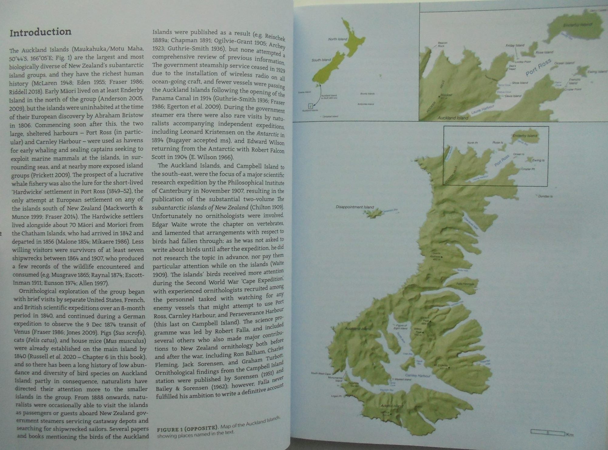 Ornithology of the subantarctic Auckland Islands By Colin Miskelly, Craig Symes.