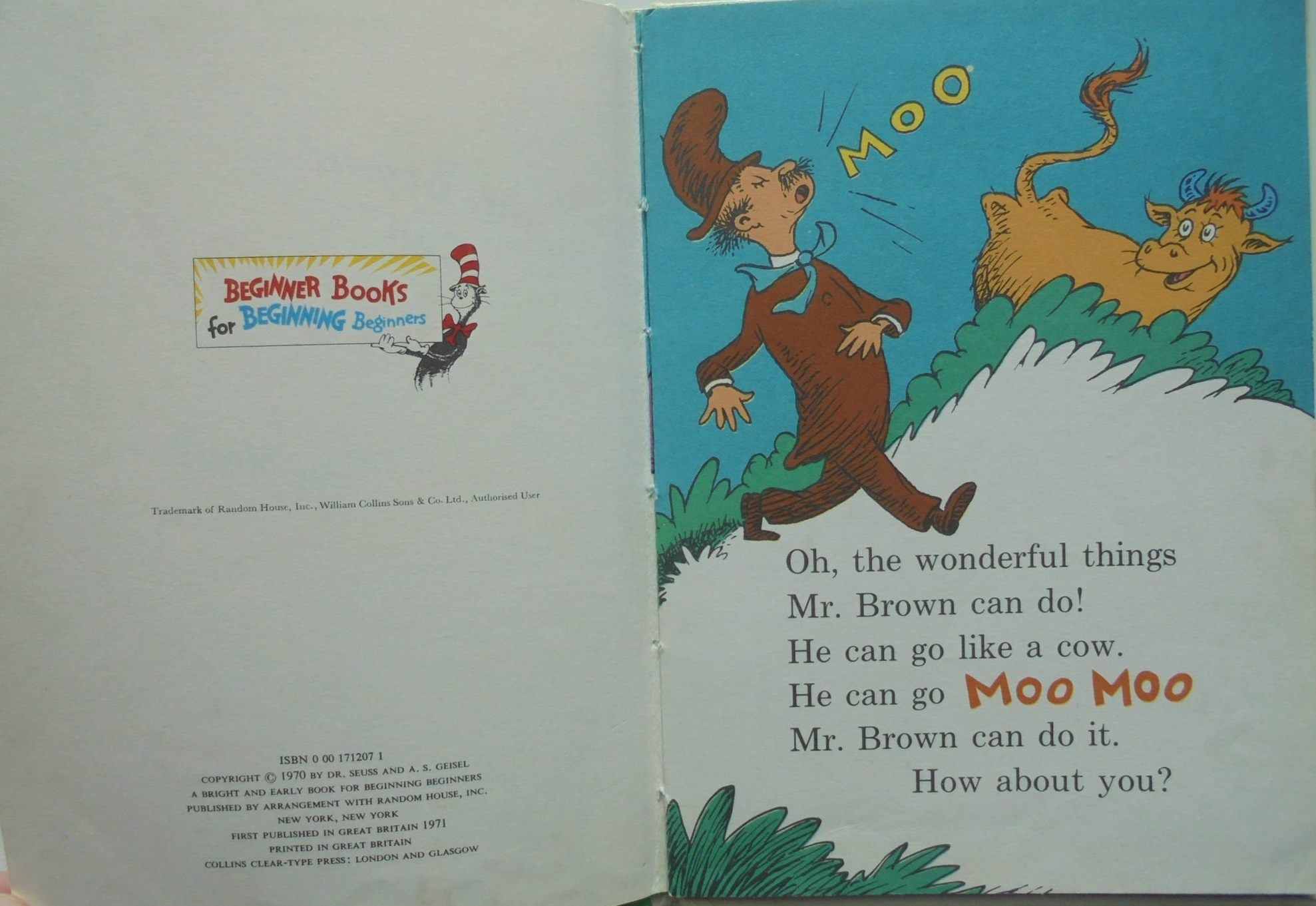 Vintage 1960s/1970s hardback Dr Seuss books.