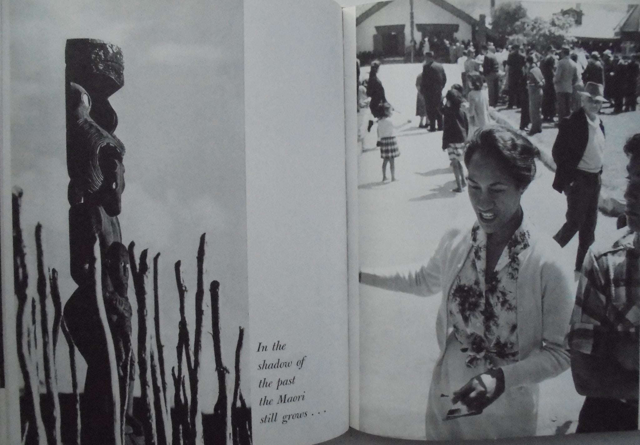 New Zealand: Gift of the Sea. By Brian Brake, Maurice Shadbolt.