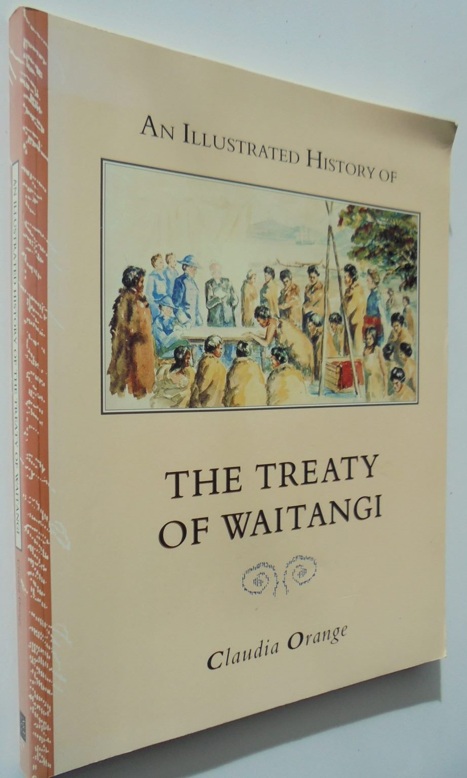 An Illustrated History of the Treaty of Waitangi By Claudia Orange.