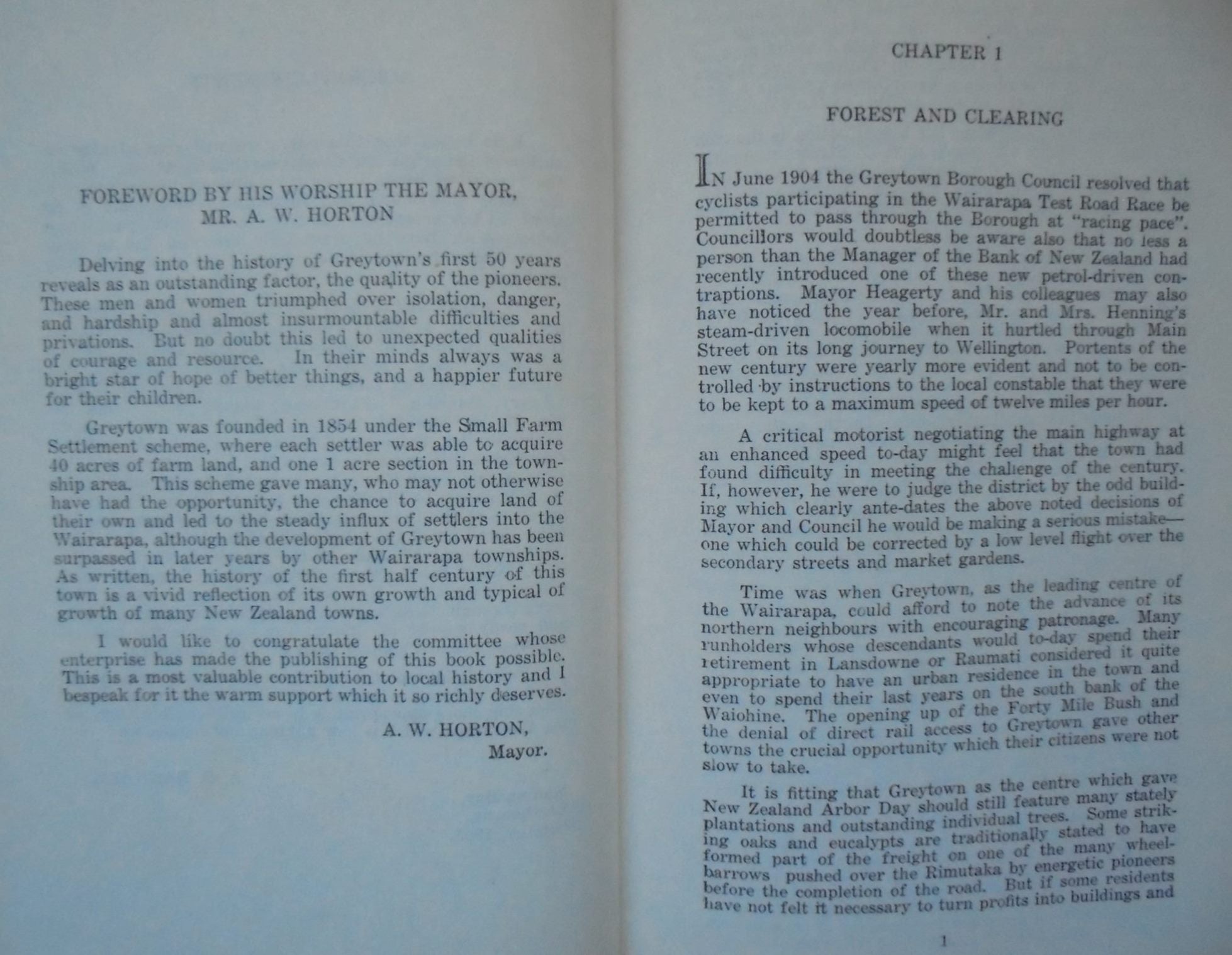 Old Greytown 1854-1954 The story of the first hundred years of Greytown's settlement 1854-1954 by A G Bagnall.