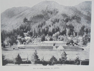 The Hot Springs of New Zealand By Arthur Stanley Herbert.