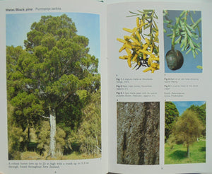 The Reed Field Guide to New Zealand Native Trees By J.T. Salmon