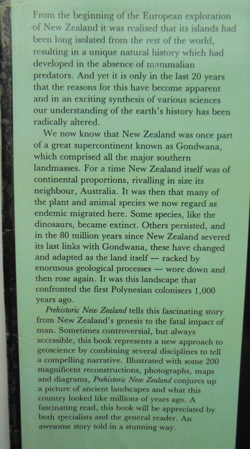 Prehistoric New Zealand by Graeme Stevens, Matt McClone and Beverley mcCulloch. Illustrated by Vivian Ward