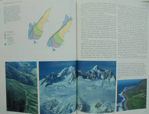 Prehistoric New Zealand by Graeme Stevens, Matt McClone and Beverley mcCulloch. Illustrated by Vivian Ward