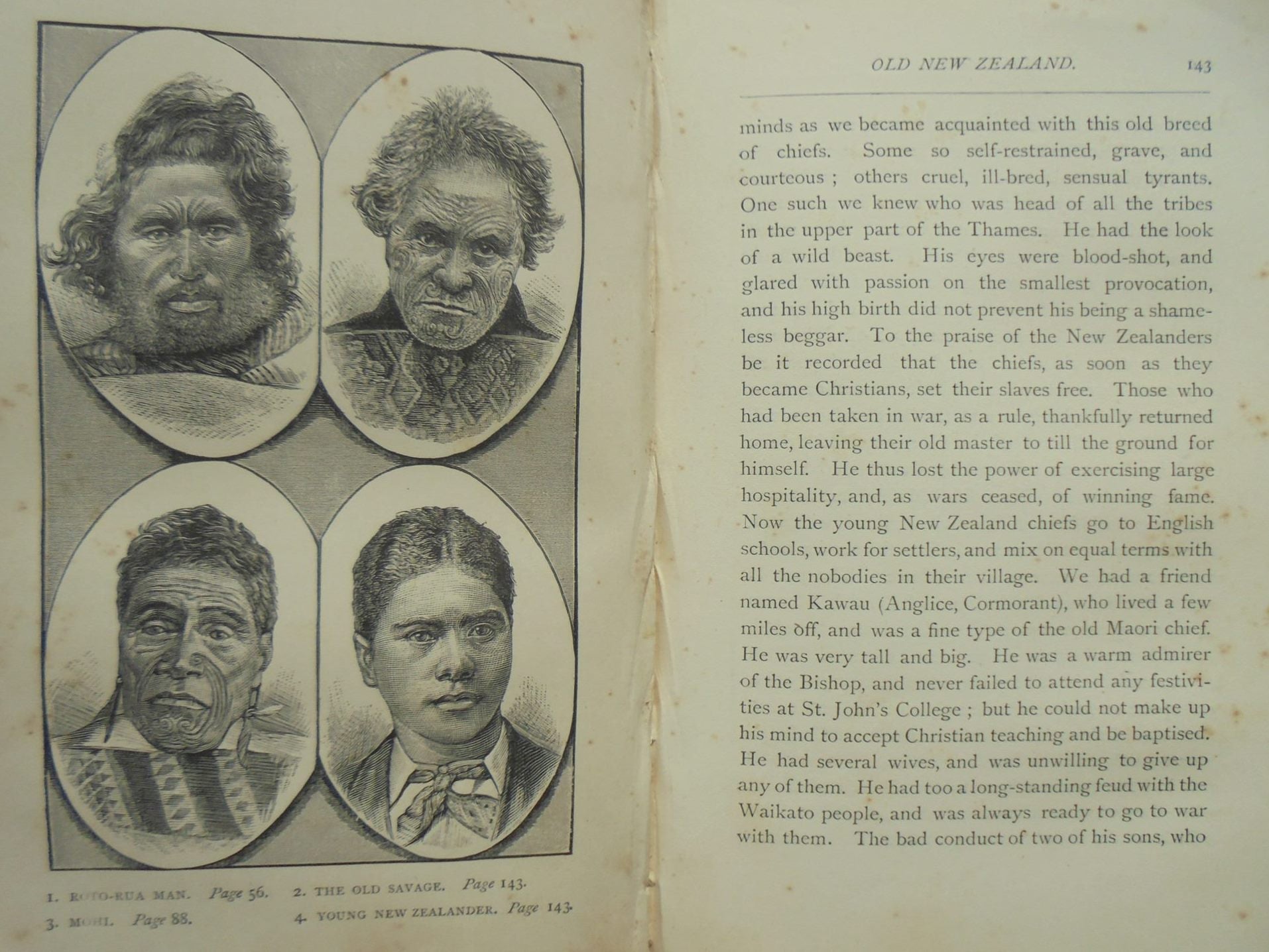 Our Maoris By Lady Martin. (1888). VERY SCARCE.