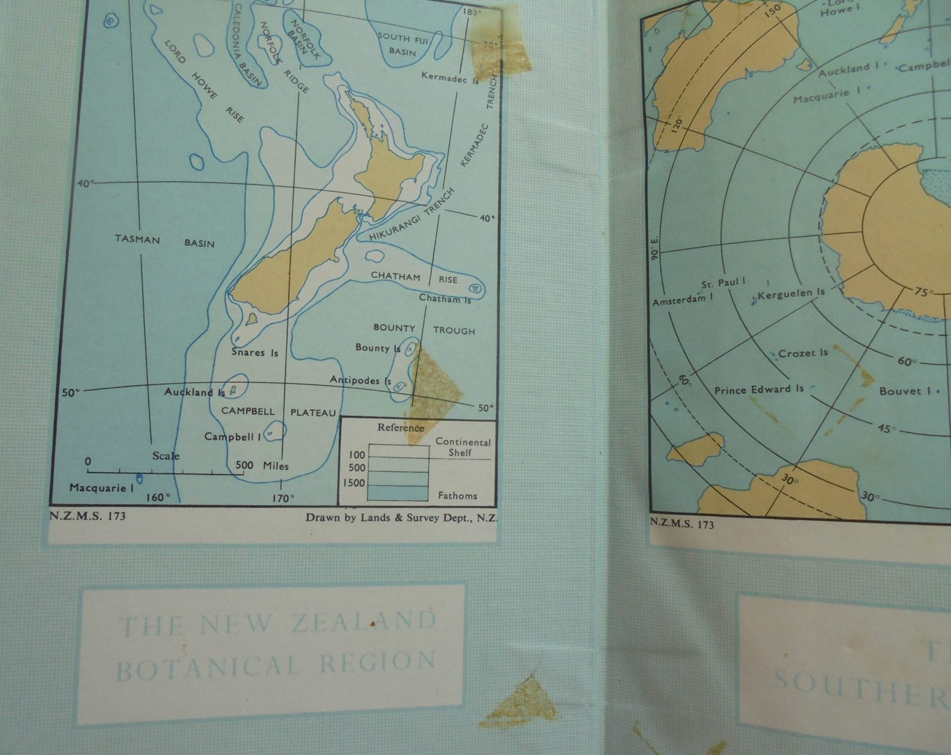 Flora of New Zealand Volume I : Indigenous Tracheophyta by H. H. Allan. 1961