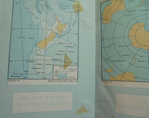 Flora of New Zealand Volume I : Indigenous Tracheophyta by H. H. Allan. 1961