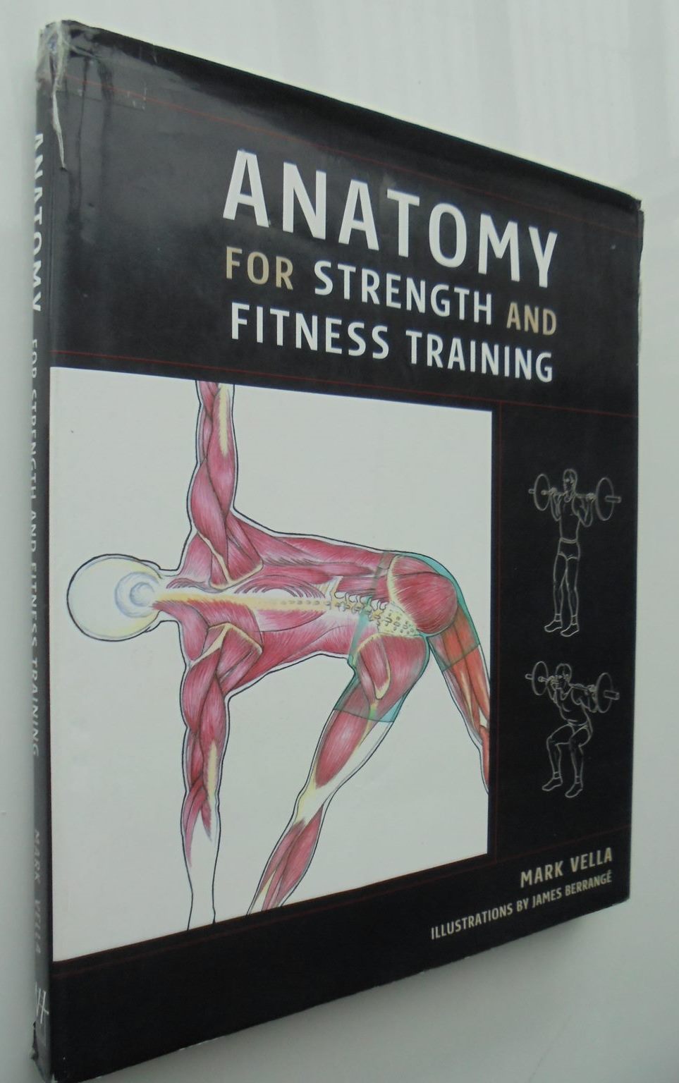 Anatomy for Strength and Fitness Training By Mark Vella